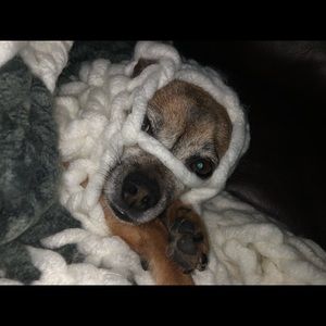 Meet your Posher, Leanne